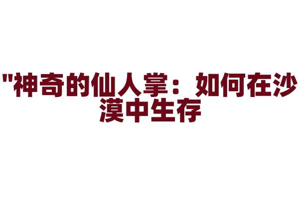 "神奇的仙人掌：如何在沙漠中生存？"